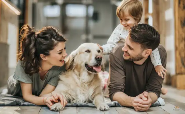 Keeping Your Dog Happy and Healthy