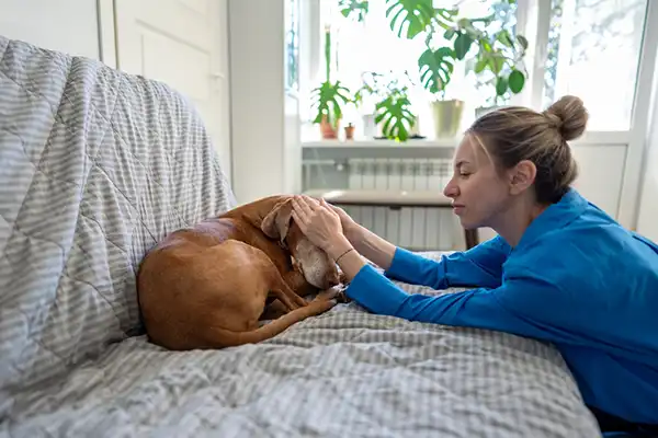 Protect Your Dog from Harm