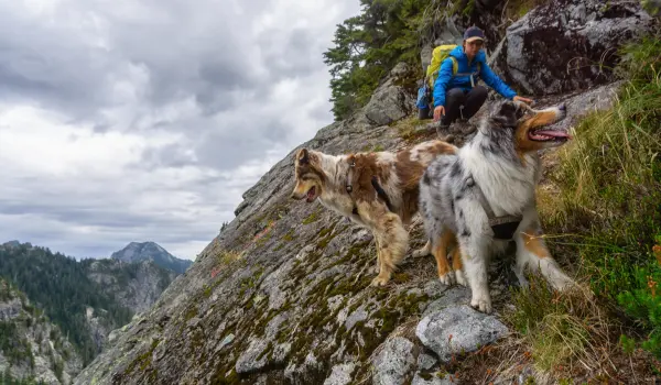 Choosing Dog-Friendly Trails