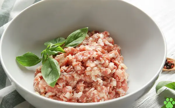 Can Dogs Eat Ground Turkey - Nutritional Benefits of Ground Turkey for Dogs