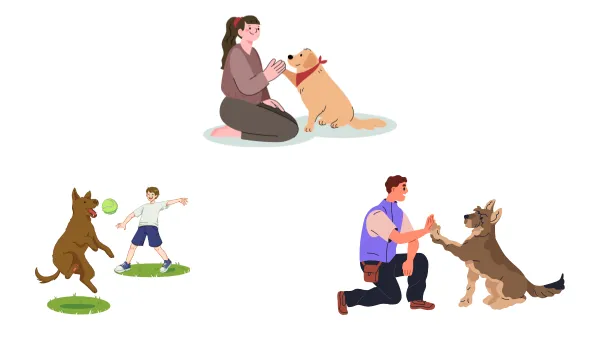 Training Your Dog