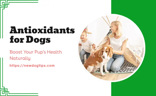 Antioxidants for Dogs