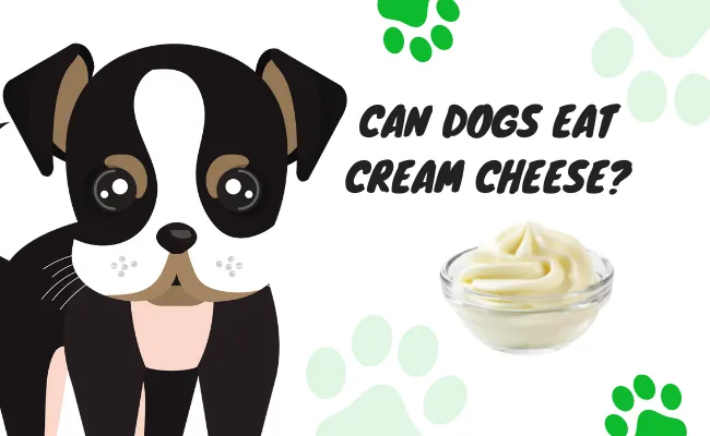 Can Dogs Eat Cream Cheese?