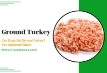 Can Dogs Eat Ground Turkey? Vet-Approved Guide