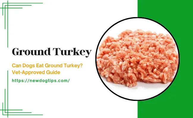 Can Dogs Eat Ground Turkey? Vet-Approved Guide