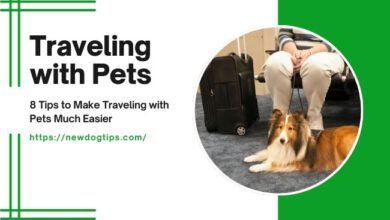 Traveling with Pets