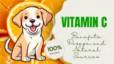 Vitamin C for dogs 