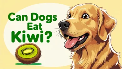 can a dog eat kiwi