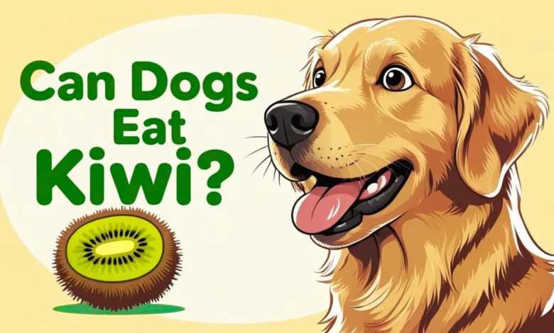 can a dog eat kiwi