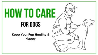 how to care for dogs
