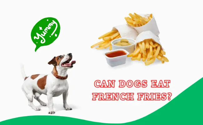 can dogs eat French fries