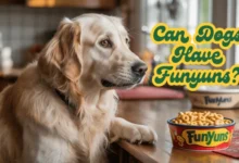 Can Dogs Have Funyuns