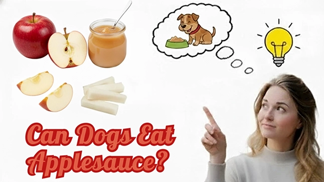 Can Dogs Eat Applesauce